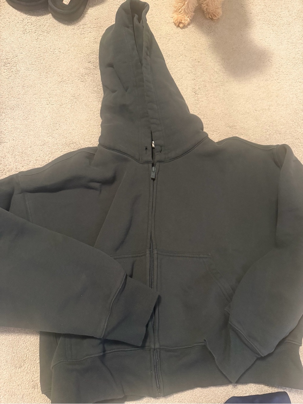 aritzia dark green Zip-Up Hoodie